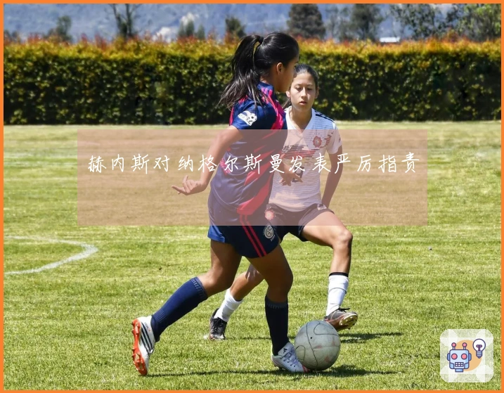 赫内斯对纳格尔斯曼发表严厉指责