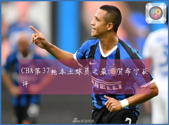 CBA第37轮本土球员之最：贺希宁获评