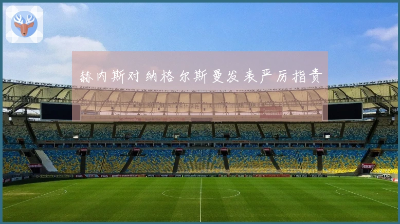 赫内斯对纳格尔斯曼发表严厉指责